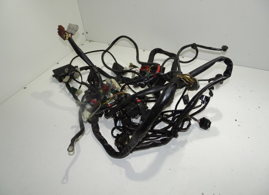 Wire Harness Aprilia Tuono 1000
