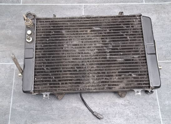 Radiator Yamaha FZR 1000