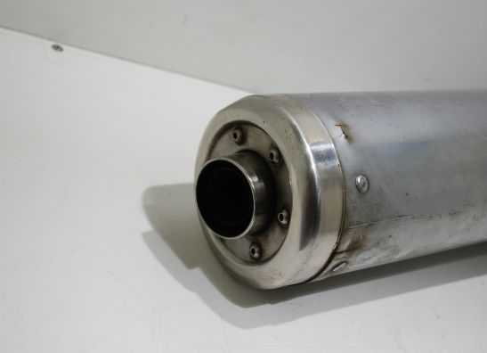 Auspuff Yamaha GTS 1000