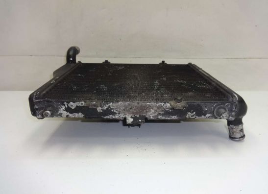 Kuhler Kawasaki GPZ 1000