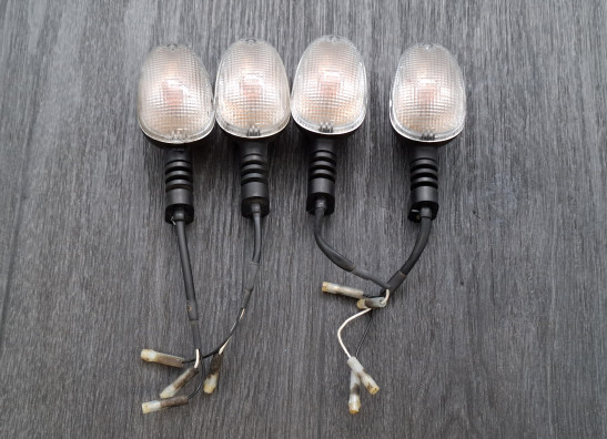 Winker Triumph Tiger 1050