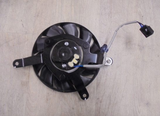 Lufter Honda CBR 650 R