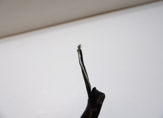 Handlebar switch assy left Suzuki GS 850