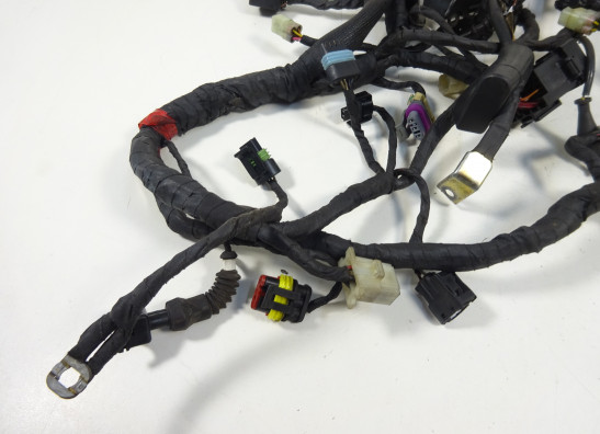 Kabelboom Ducati monster 796