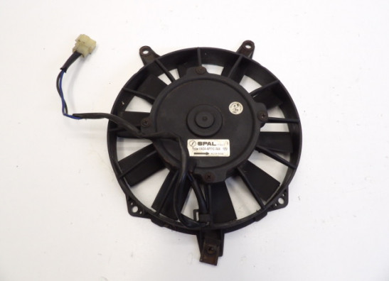 Fan Triumph 1200 Daytona