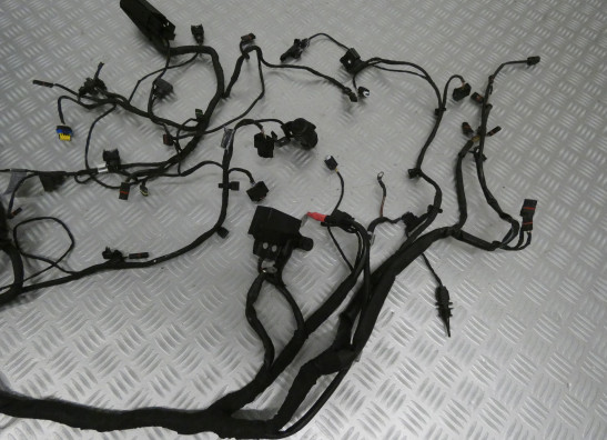 Kabelboom BMW F 800 GT