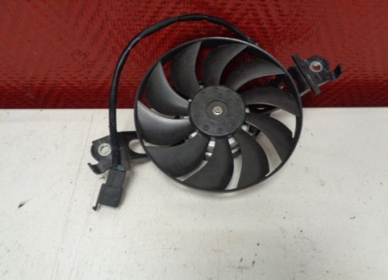 Fan Suzuki UX 150 Sixteen 2008-2017