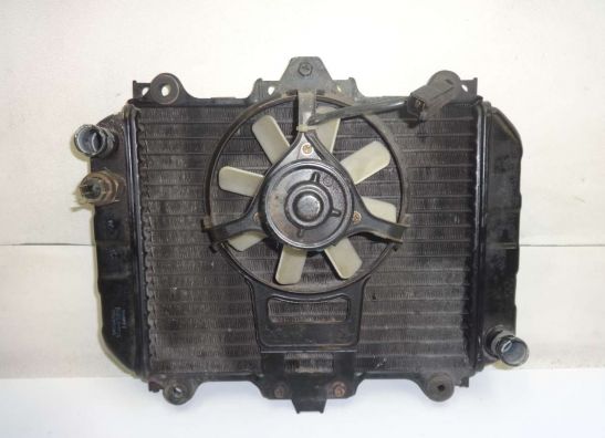 Radiator Kawasaki GPZ 500