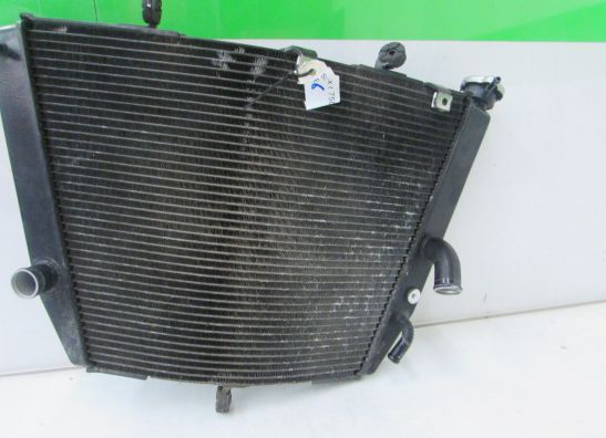 Kuhler Suzuki GSX R 750