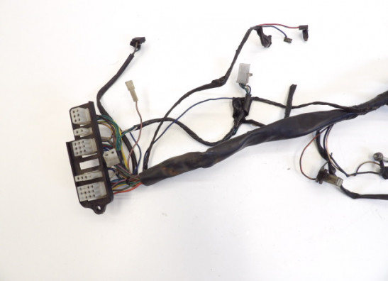 Kabelbaum Aprilia Pegaso