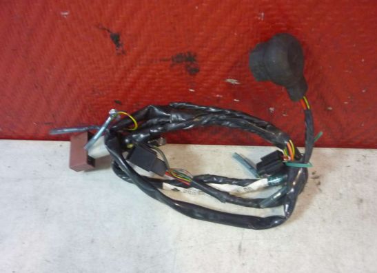 Kabelboom voor Yamaha YZF R1