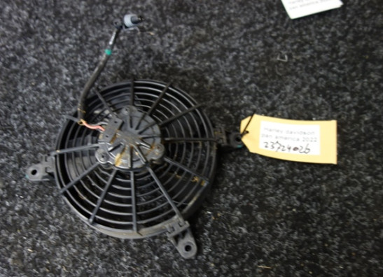 Fan Harley Davidson Pan America
