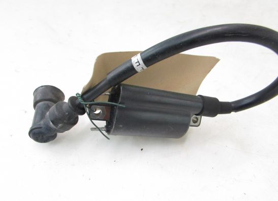 Ignition Coil Suzuki Overige Suzuki