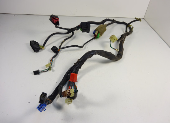 Kabelboom Honda CB 600 F