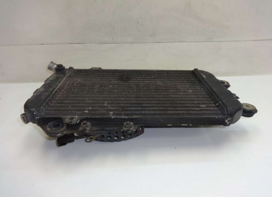 Kuhler Kawasaki VN 700  750