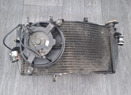 Kuhler Honda CBR Fireblade