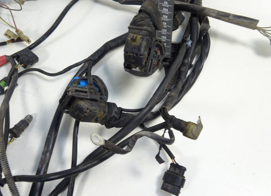 Kabelboom Ducati Monster 695