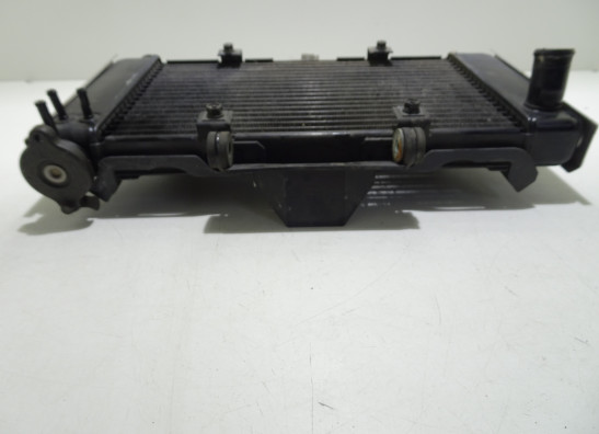 Radiateur Yamaha FZ6