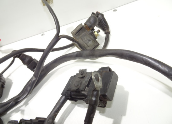 Kabelboom Ducati Monster S4