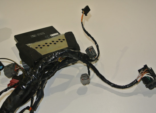 Wire Harness Kawasaki Z 750