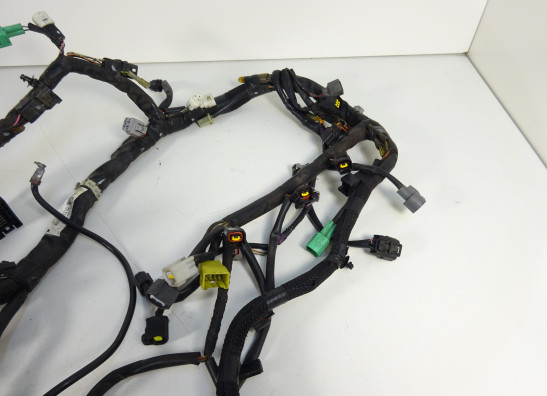 Kabelbaum Suzuki GSR 750