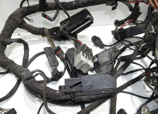 Kabelbaum BMW R 1200 GS Adventure