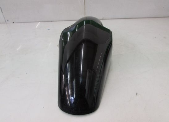 Front fender Triumph Tiger 900