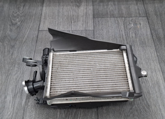 Radiateur BMW R 1250 GS