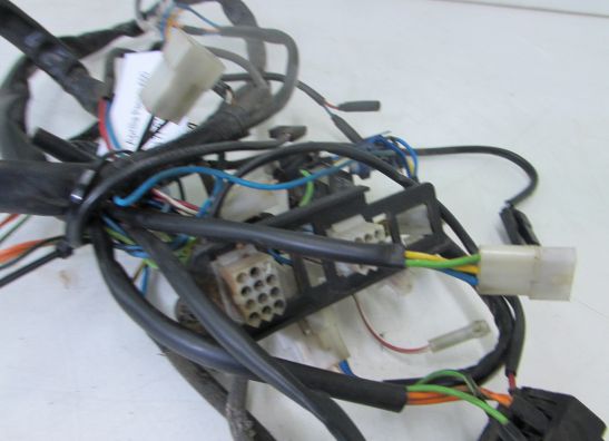 Kabelbaum Aprilia Pegaso