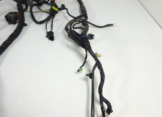 Wire Harness Kawasaki ER 6