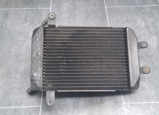 Radiator Suzuki Burgman 400