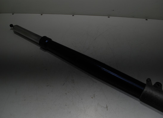 Standrohr Gabelholm links komplett BMW R 1100 GS