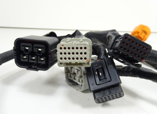 Kabelbaum Honda CBR 600 RR