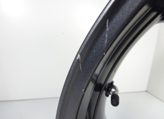 Achtervelg Triumph Street Triple 675