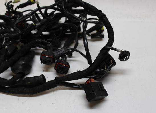 Wire Harness Ducati Multistrada 1200