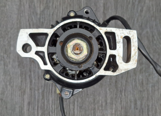 Dynamo Kawasaki GPX 750