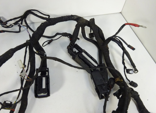 Kabelboom BMW R 1200 ST