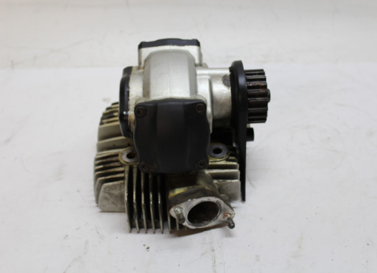 Cilinderkop Ducati monster 696 2008-2010