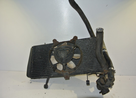 Radiateur Triumph Sprint ST 955