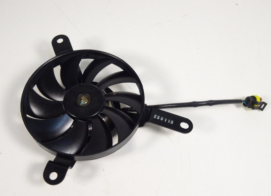 Fan Ducati Monster 821