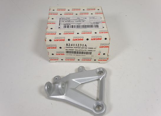 Rechter schetsplaat Ducati 1098  1198