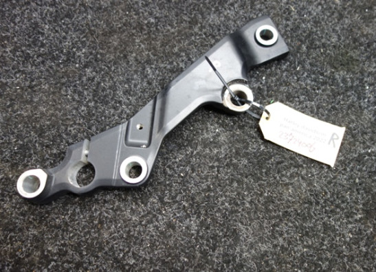 Frame body parts Harley Davidson Pan America