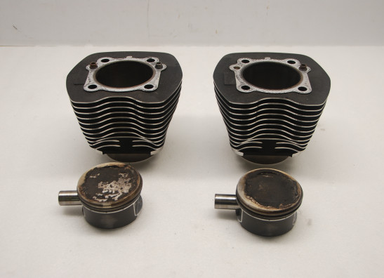 Cilinderblok Harley Davidson Softtail