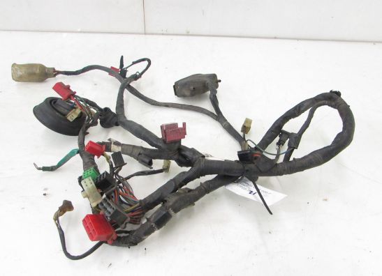 Wire Harness Honda CBR 600 F