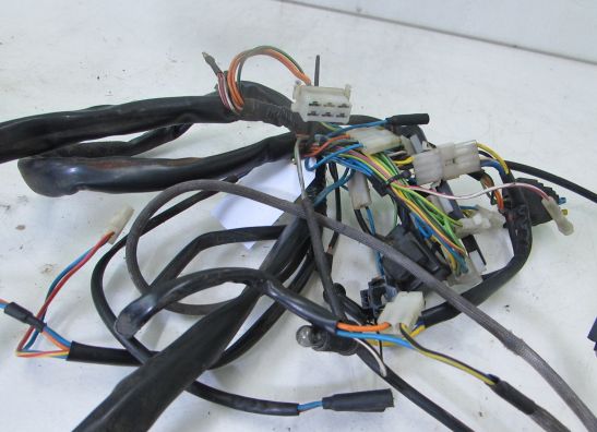 Kabelbaum Aprilia Pegaso