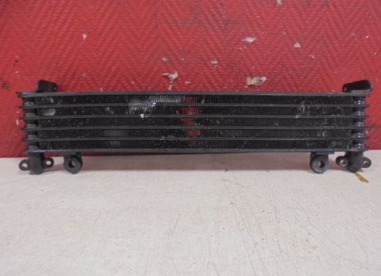Oil cooler Honda CBR 1100 XX