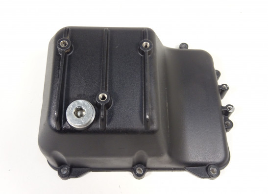 Carterpan Aprilia Tuono 660 2021-2023