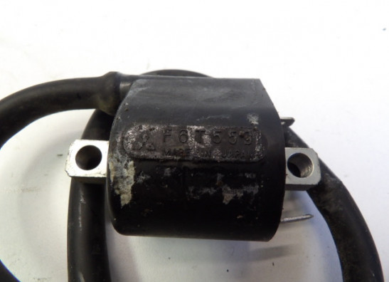 Zundspule Suzuki SV 1000