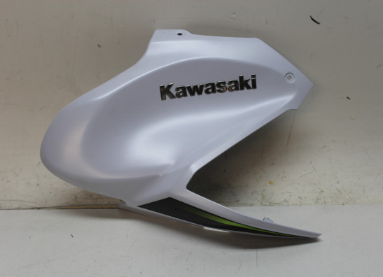 Tankschutz Kawasaki Z 900
