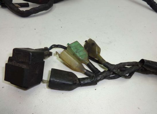 Kabelboom Honda PC 800